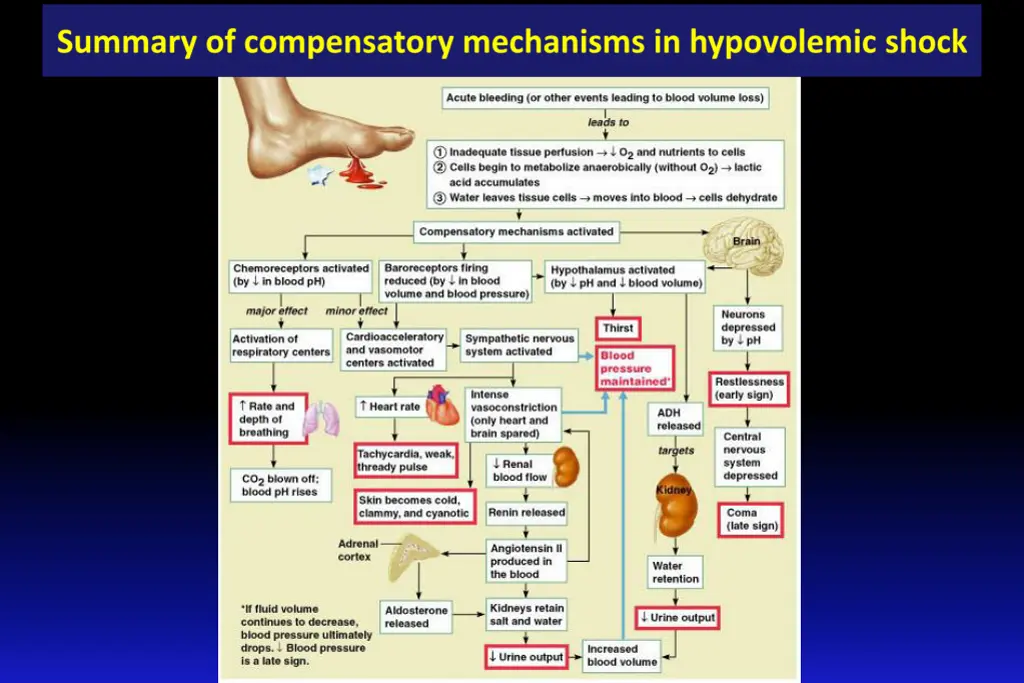 slide34