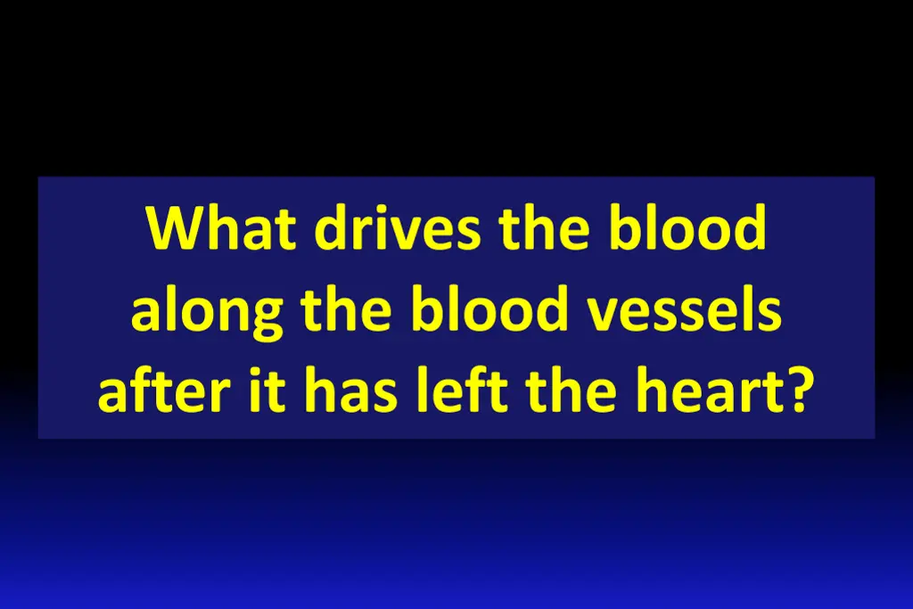 what drives the blood along the blood vessels