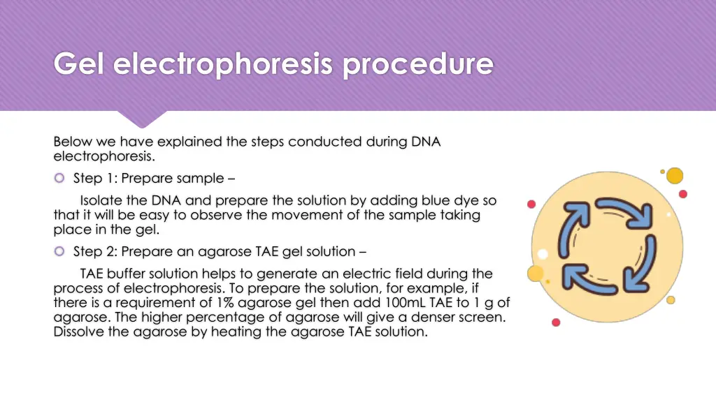 gel electrophoresis procedure