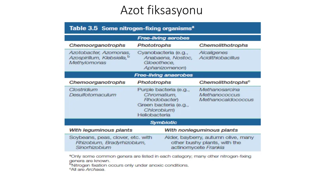 azot fiksasyonu 1