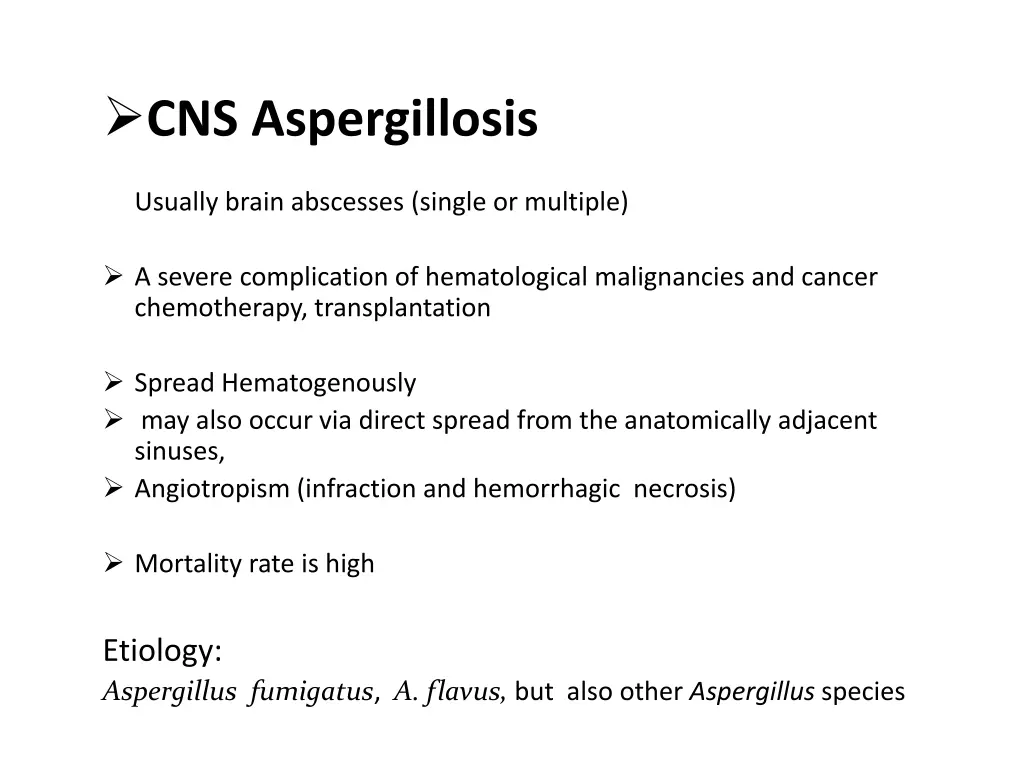 cns aspergillosis
