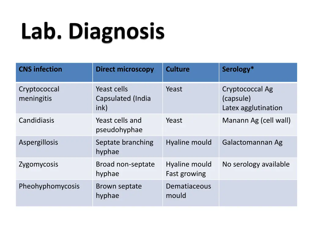 cns infection