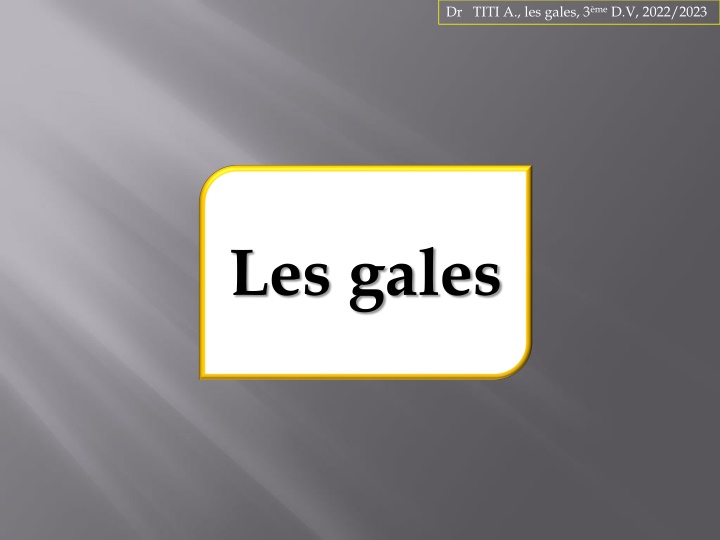 dr titi a les gales 3 me d v 2022 2023