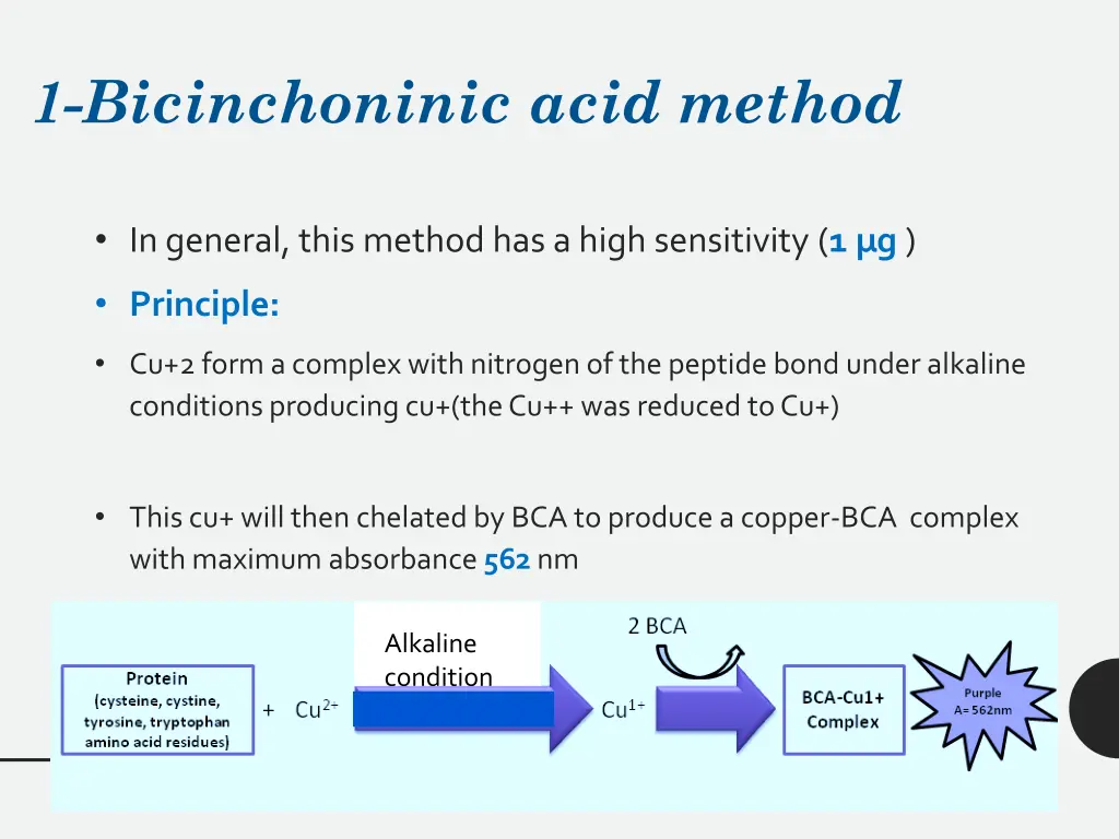 1 bicinchoninic acid method