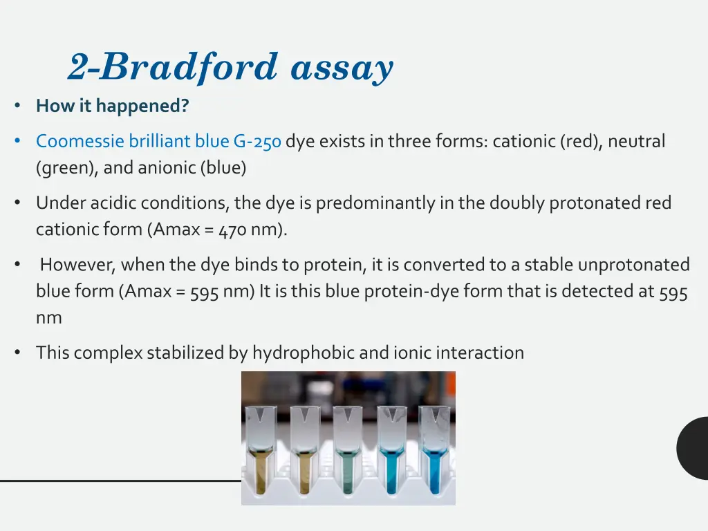2 bradford assay how it happened