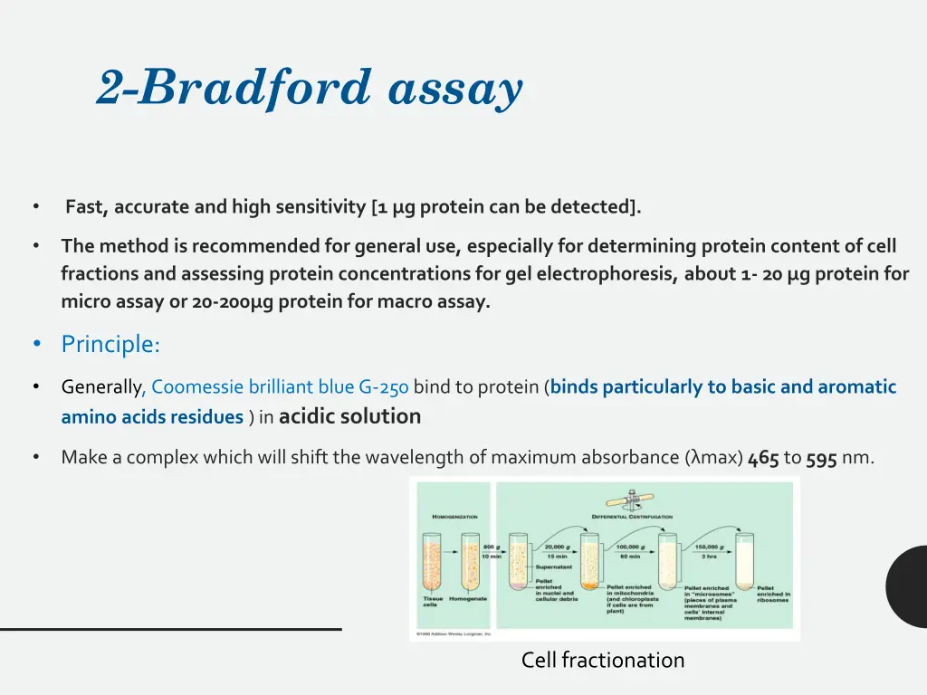 2 bradford assay