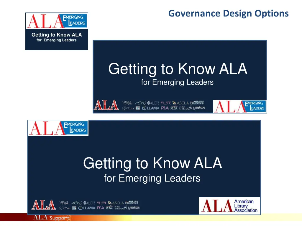 governance design options