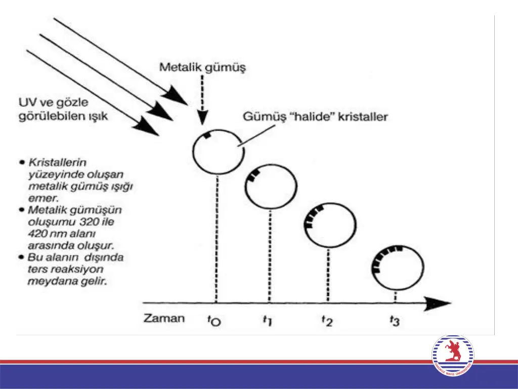 slide5