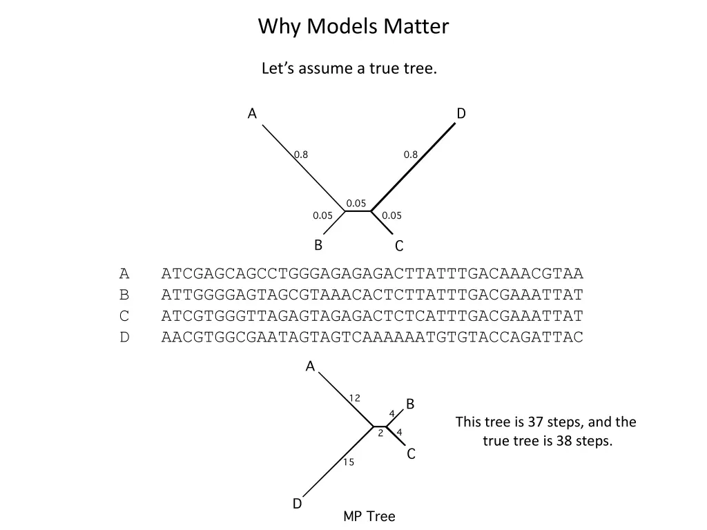why models matter