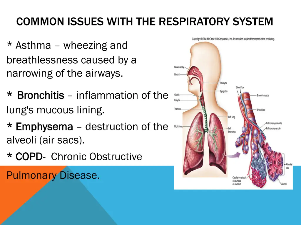 common issues with the respiratory system