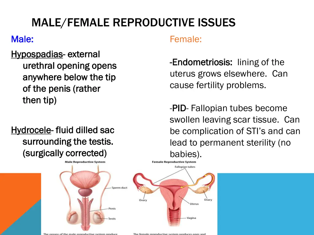 male female reproductive issues male male