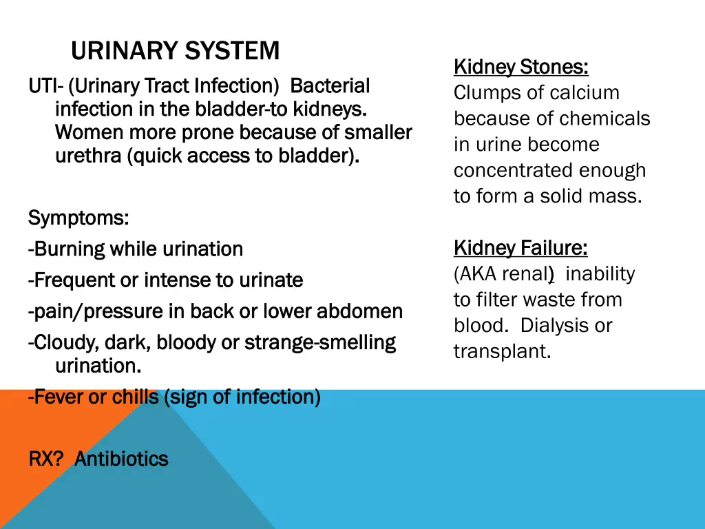 urinary system uti urinary tract infection