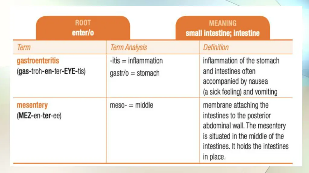 slide11