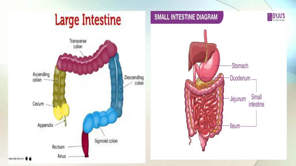 slide5