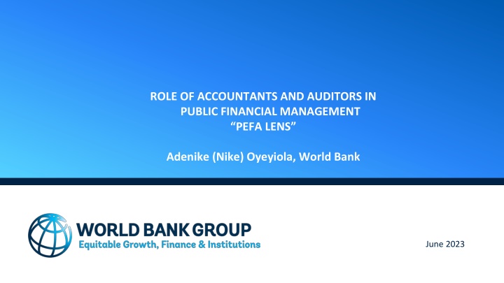 role of accountants and auditors in public