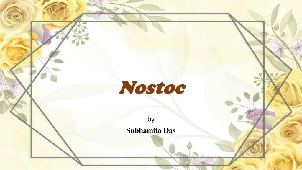 nostoc