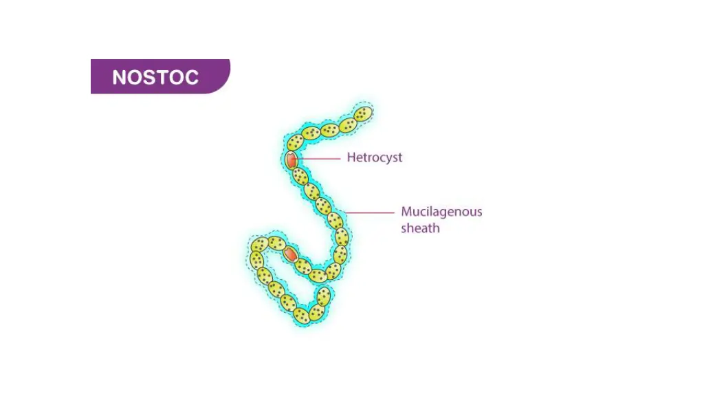 slide7