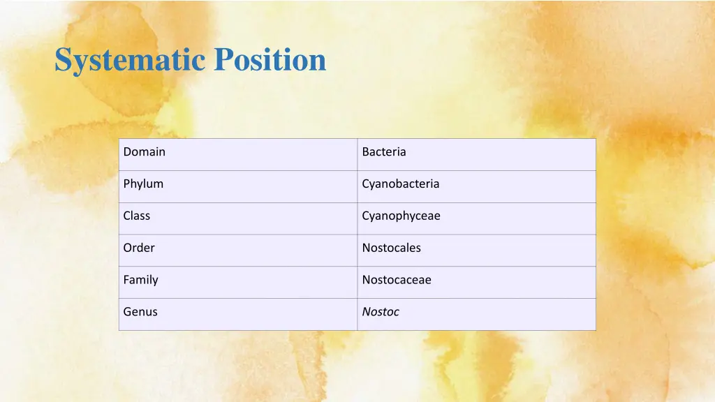 systematic position