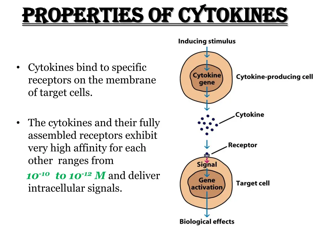 properties of cytokines properties of cytokines