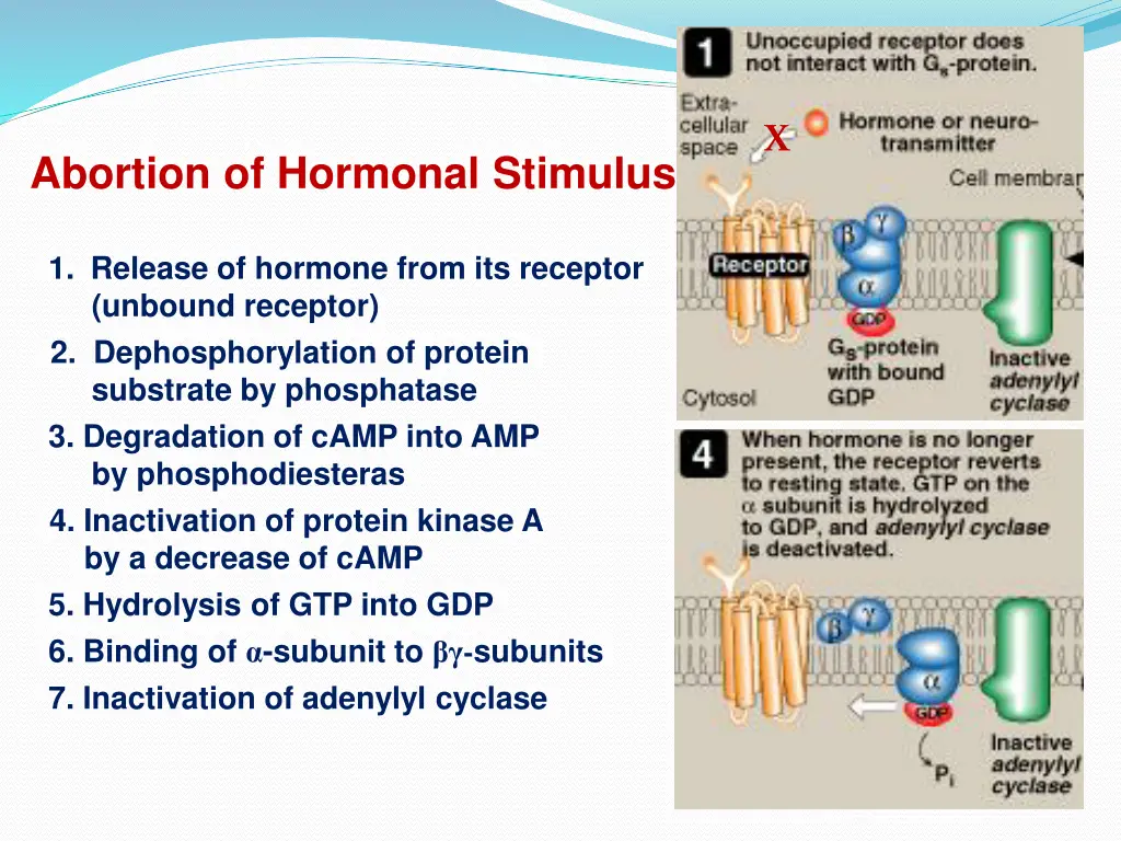 slide19