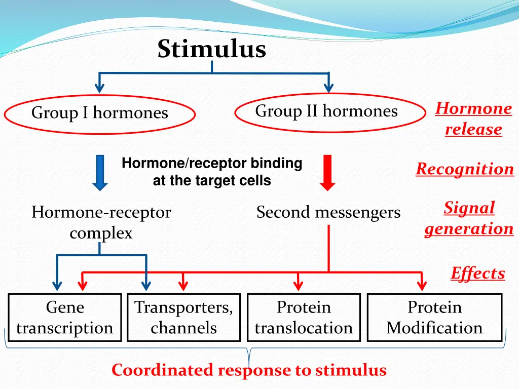 stimulus