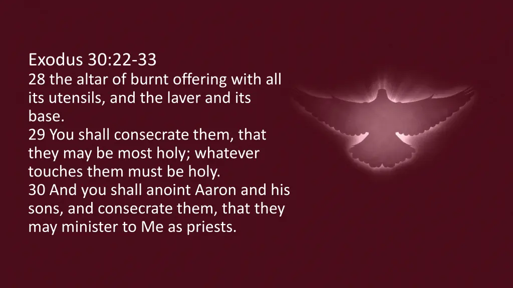 exodus 30 22 33 28 the altar of burnt offering