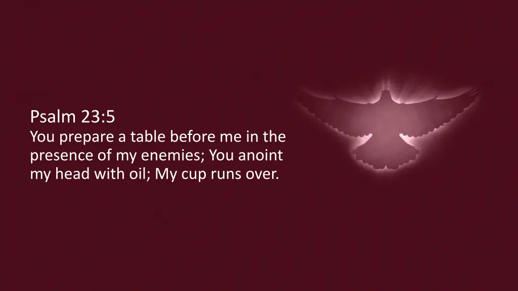 psalm 23 5 you prepare a table before