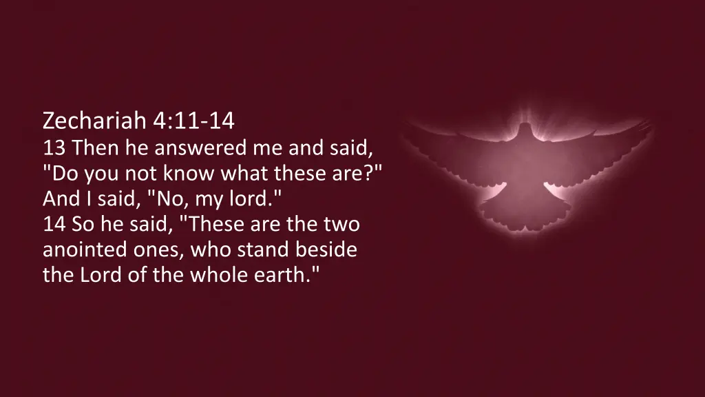 zechariah 4 11 14 13 then he answered me and said