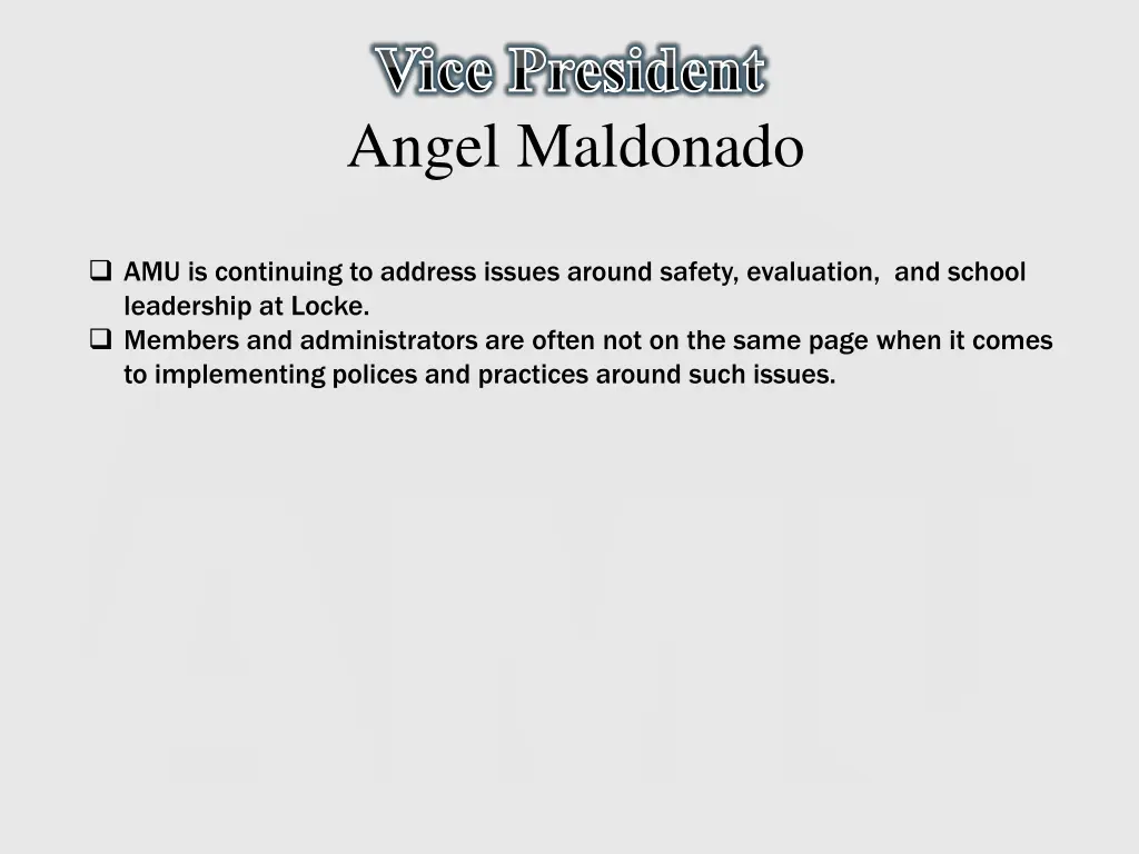 vice president angel maldonado