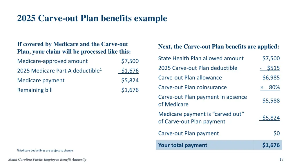 2025 carve out plan benefits example