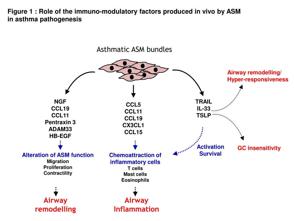 figure 1 role of the immuno modulatory factors