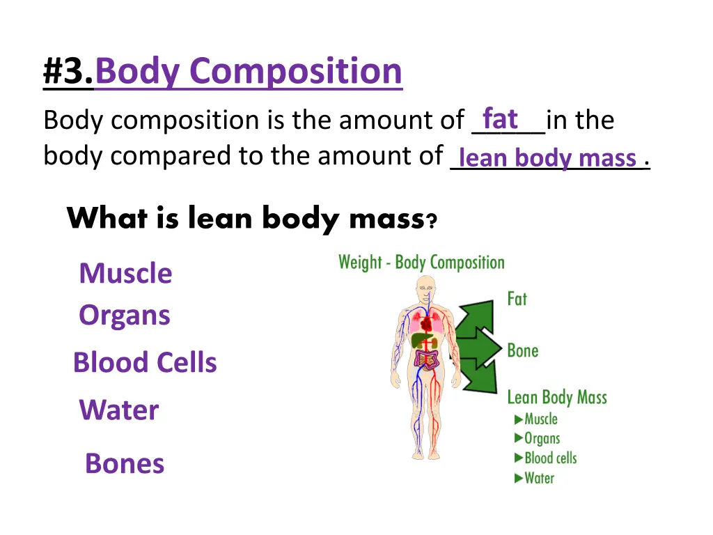 3 body composition body composition is the amount