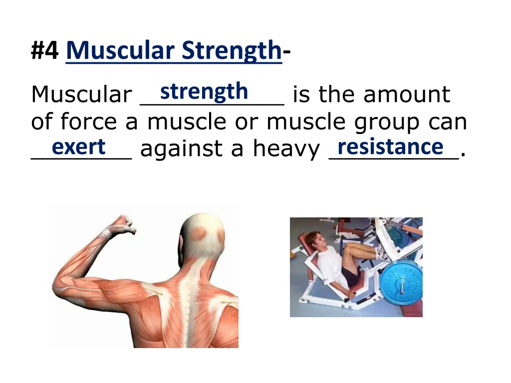 4 muscular strength