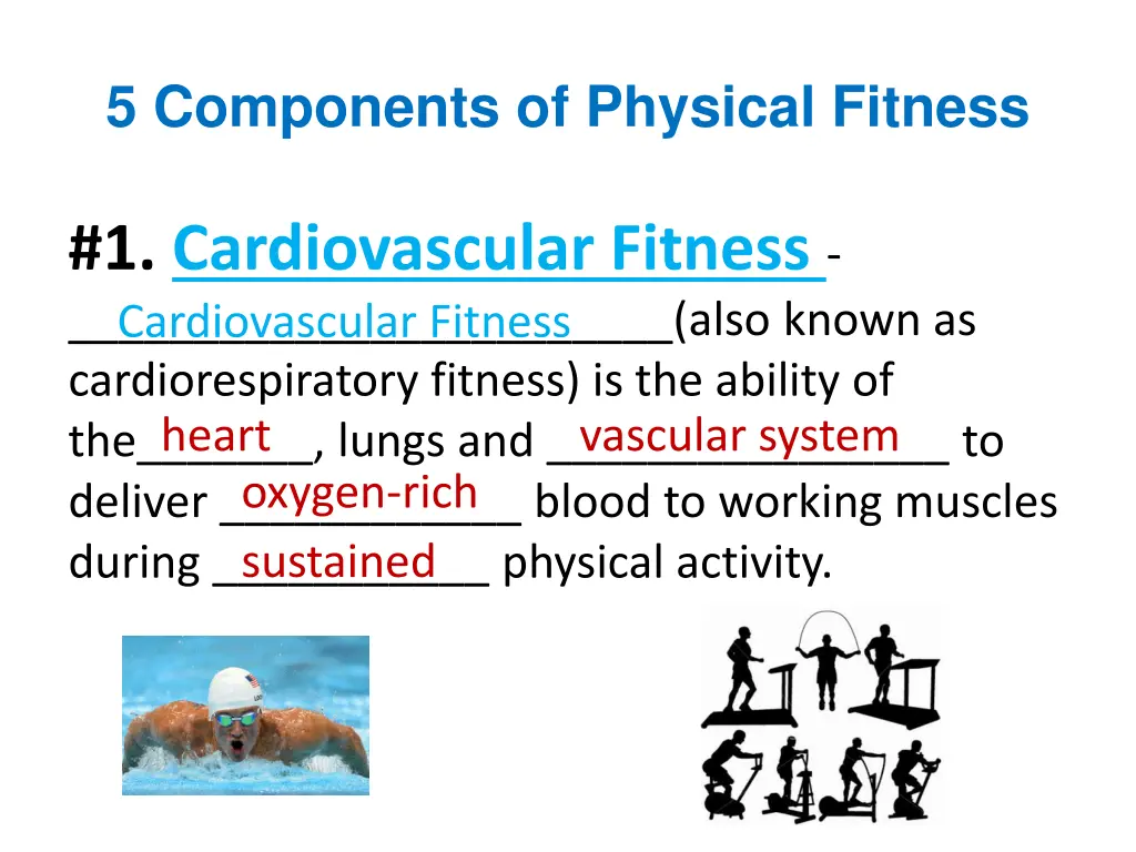 5 components of physical fitness