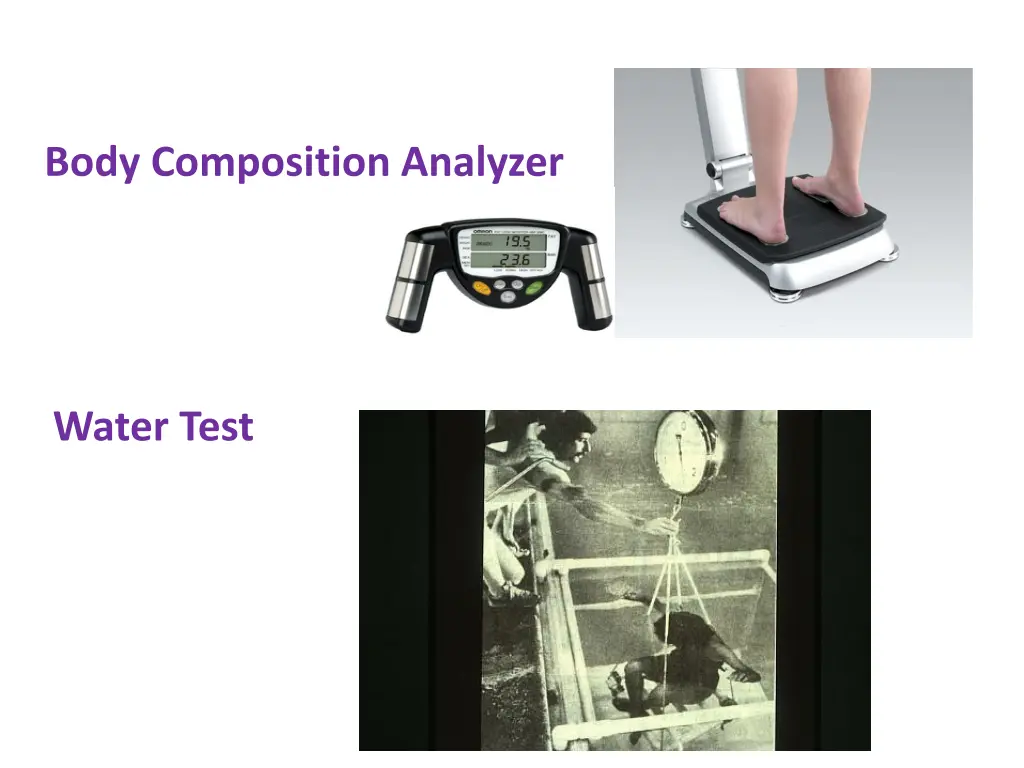body composition analyzer