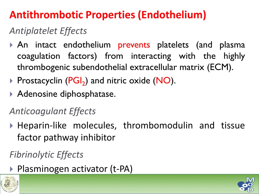antithrombotic properties endothelium