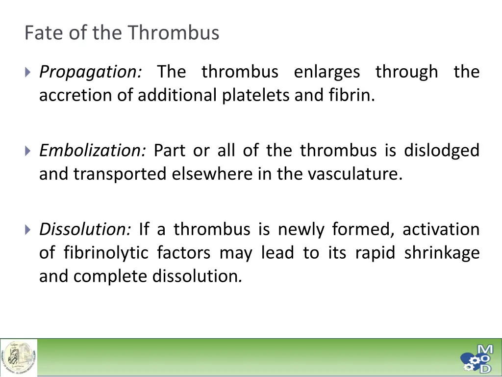 fate of the thrombus 1