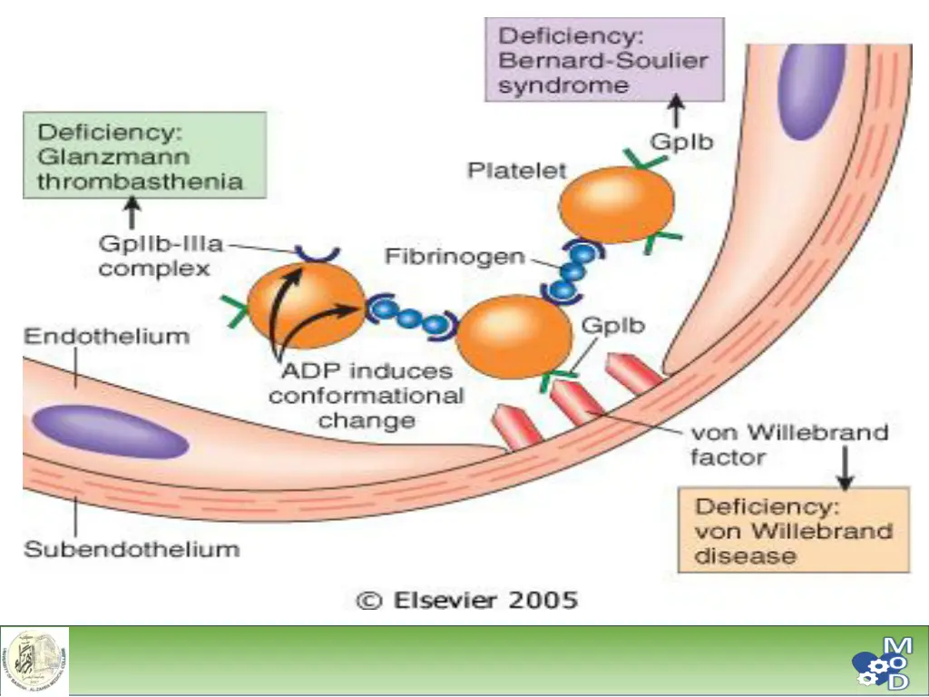 slide20