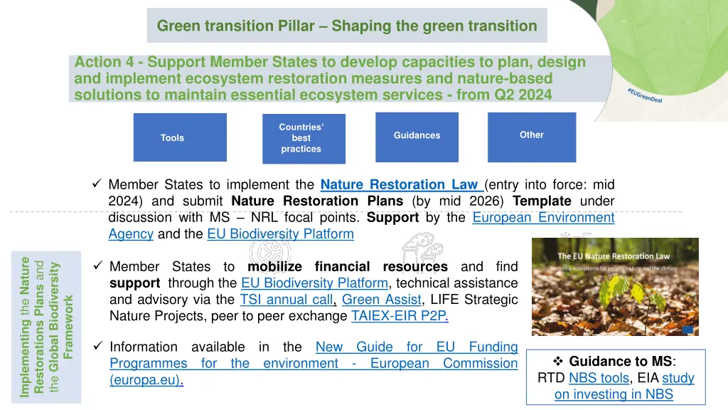 green transition pillar shaping the green 4