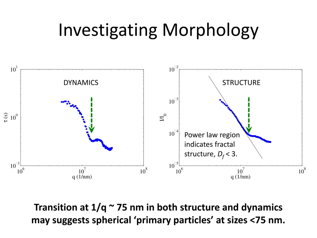 investigating morphology