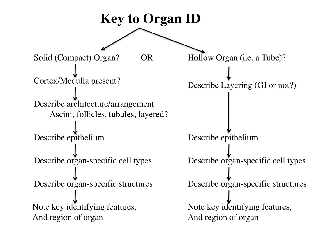 key to organ id
