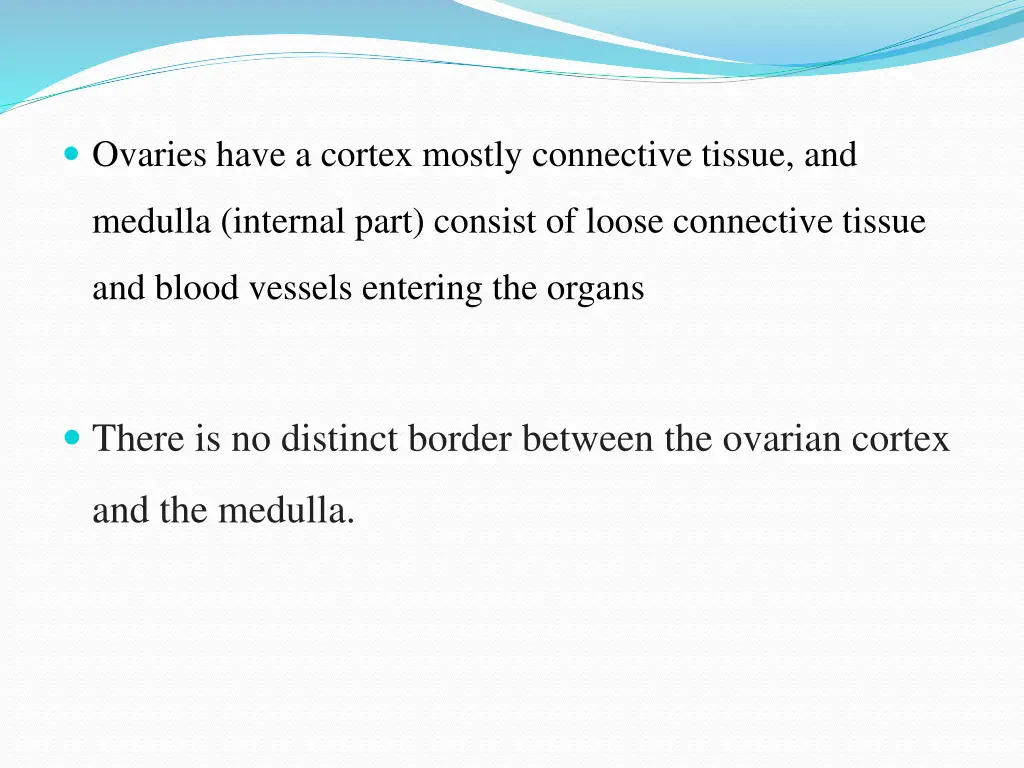 ovaries have a cortex mostly connective tissue and