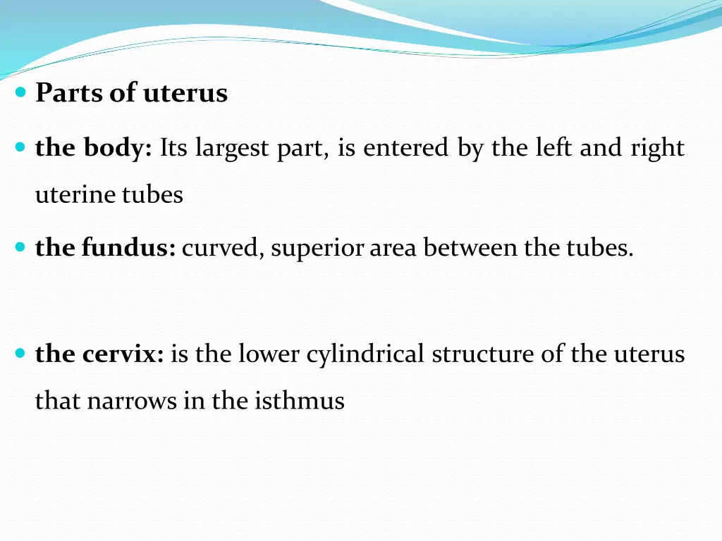 partsof uterus