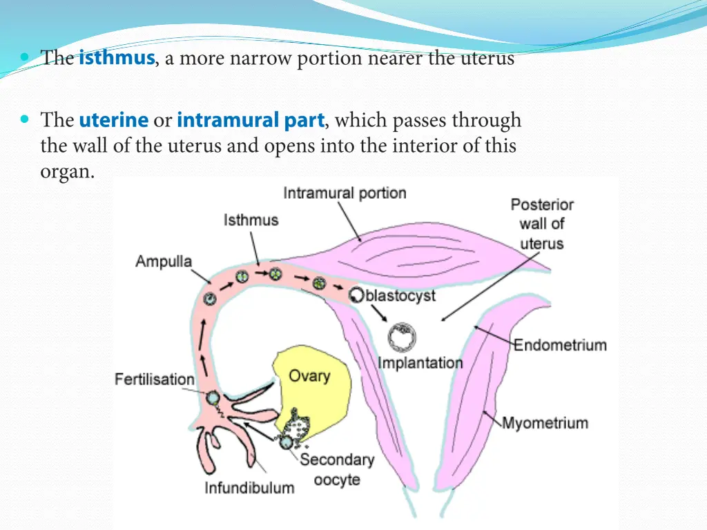 slide8