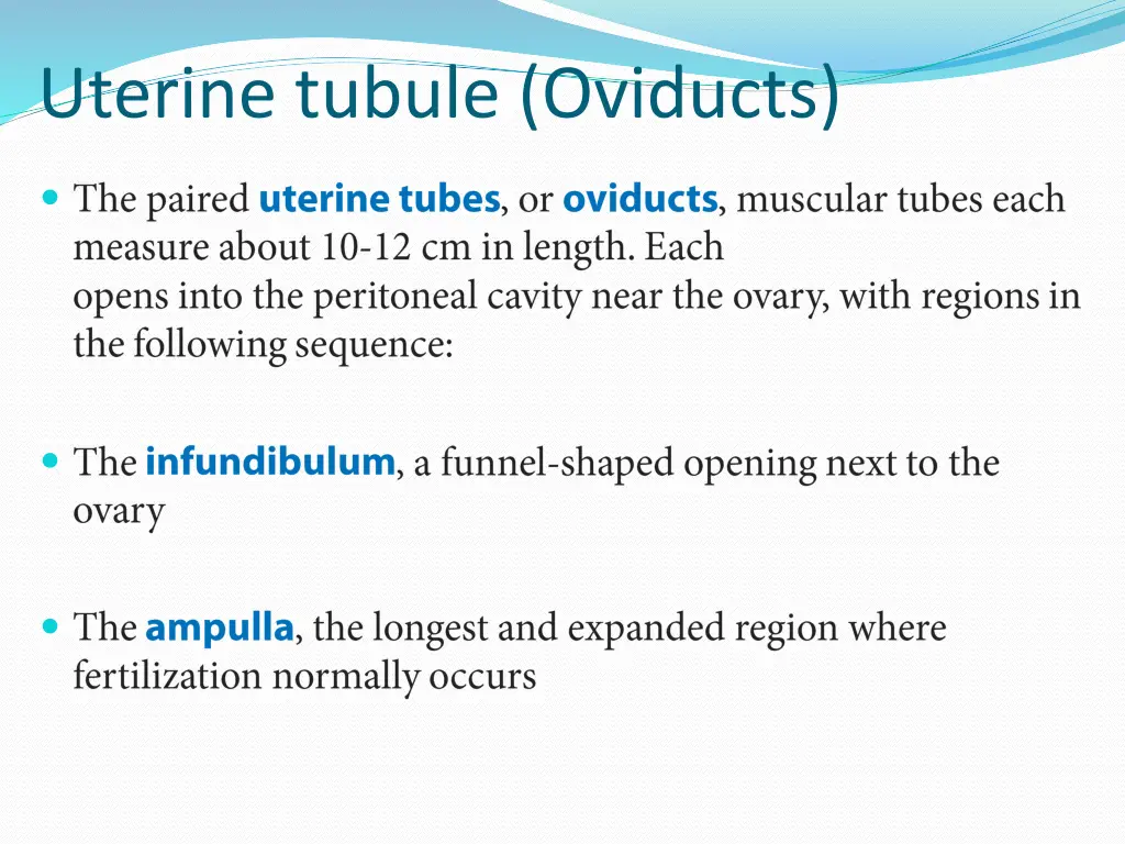 uterine tubule oviducts