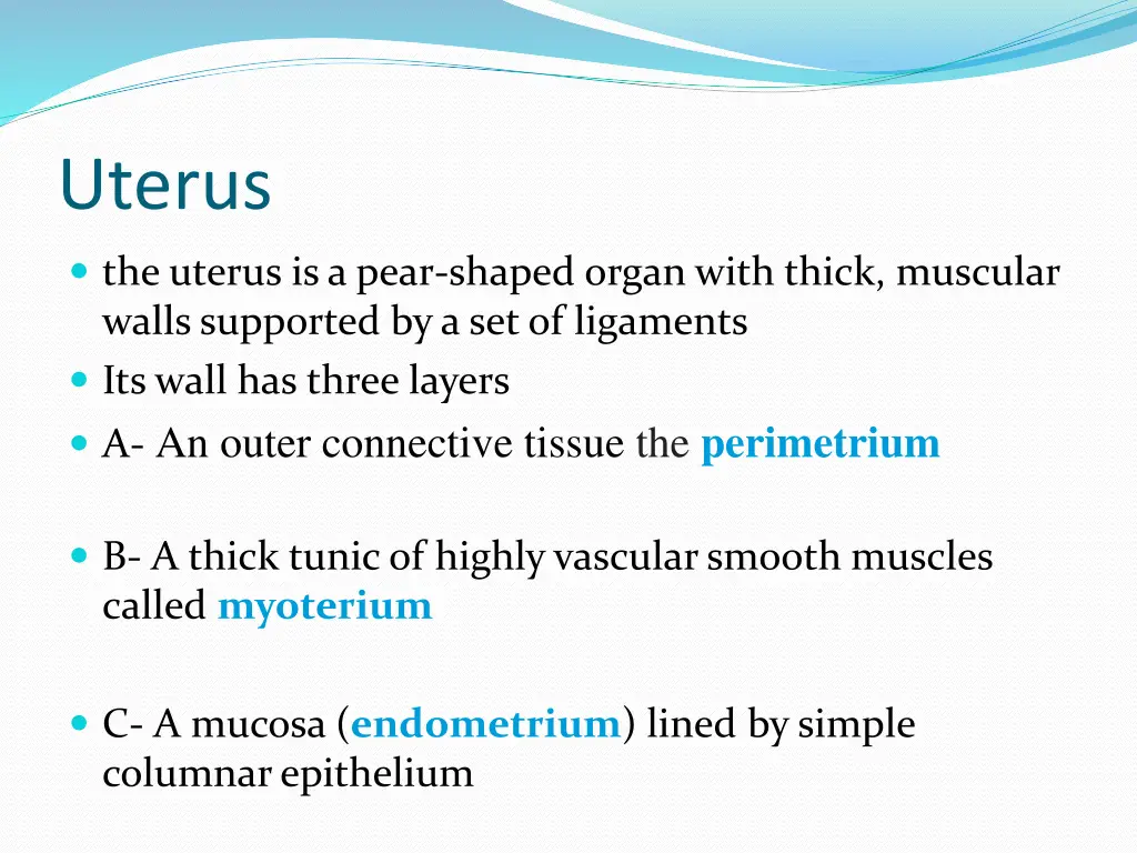uterus