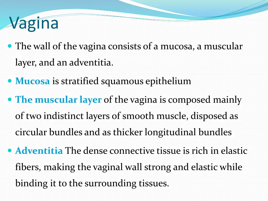 vagina