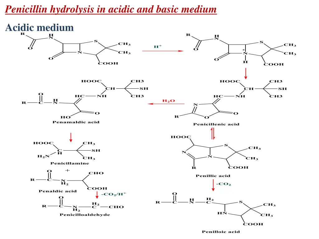 penicillin hydrolysis in acidic and basic medium