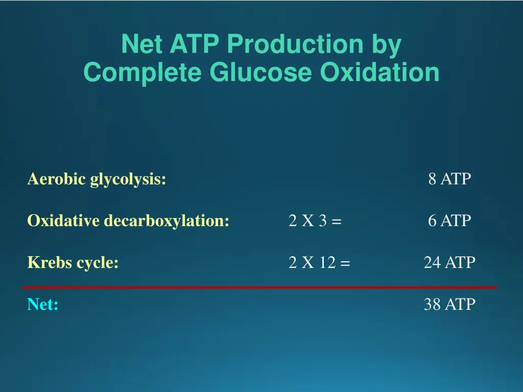 net atp production by complete glucose oxidation