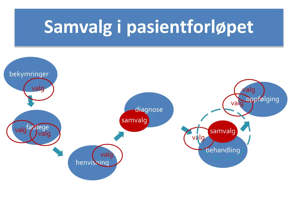 samvalg i pasientforl pet 3